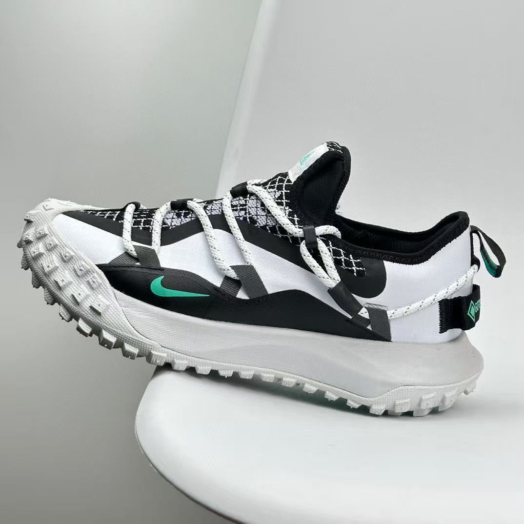 NIKE ACG : MOUNTAIN FLY LOW GORE-TEX SE