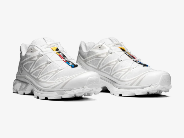 Salomon XT-6